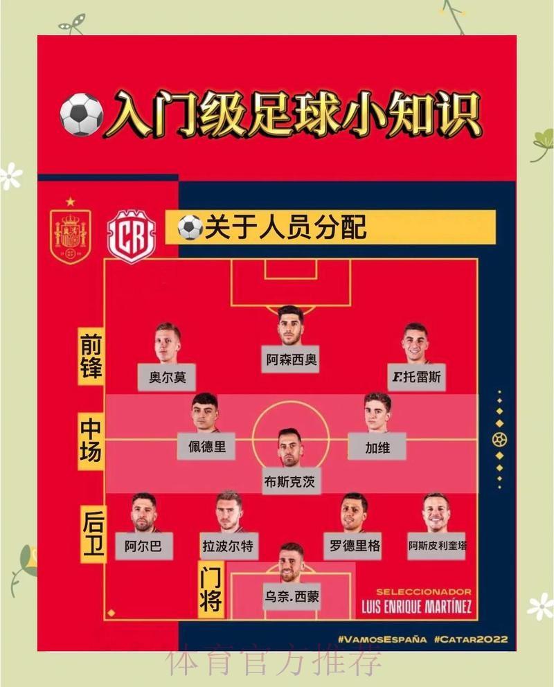 全面解析世界杯下注平台服务与功能介绍